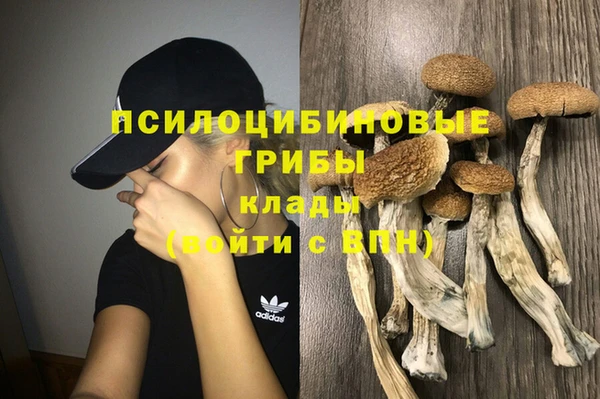 МДПВ Осинники