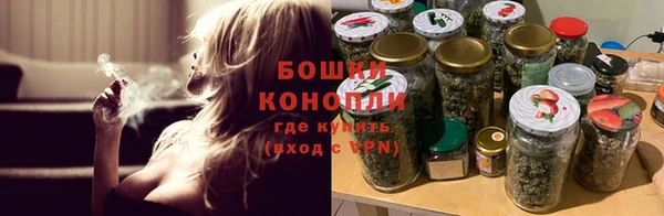 МДПВ Осинники