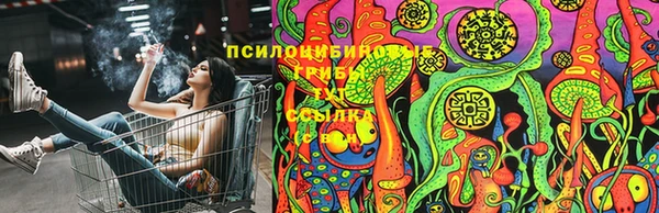 МДПВ Осинники