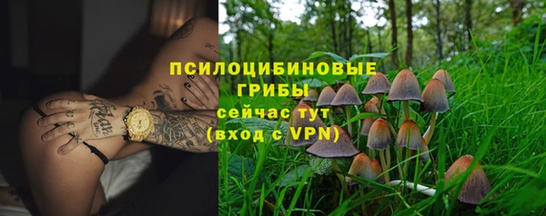 гашик Остров