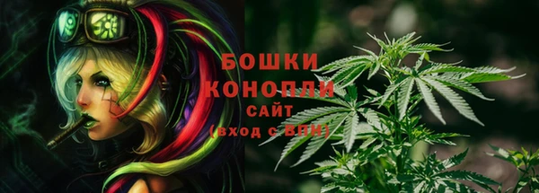 гашик Остров