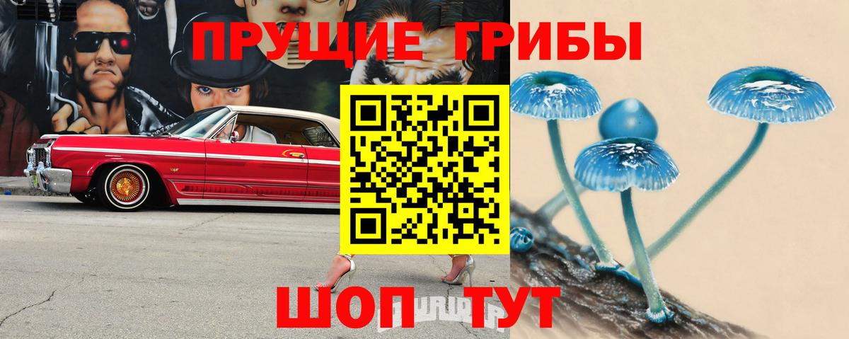 Галлюциногенные грибы прущие грибы Ростов-на-Дону