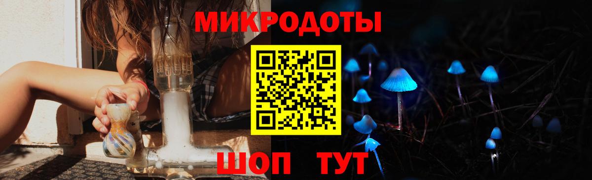 Ростов-на-Дону  Псилоцибиновые грибы GOLDEN TEACHER  Вход с VPN 